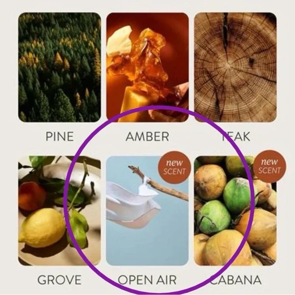 Drift Wooden Aromatherapy Block - Natural Brown - Visor Clip Kit Open Air scent - Picture 3 of 8